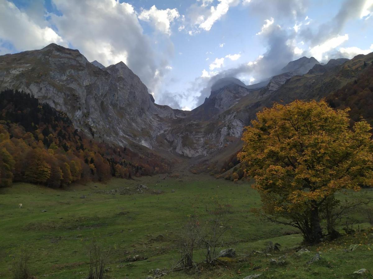 Co Dera Piusa Vielha Bagian luar foto