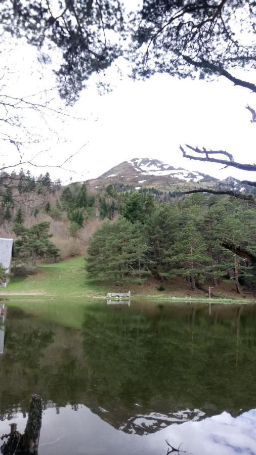 Co Dera Piusa Vielha Bagian luar foto